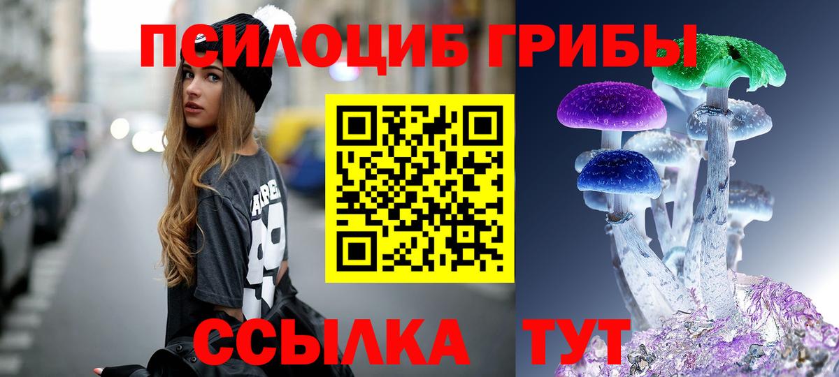 Псилоцибиновые грибы Psilocybe Узловая
